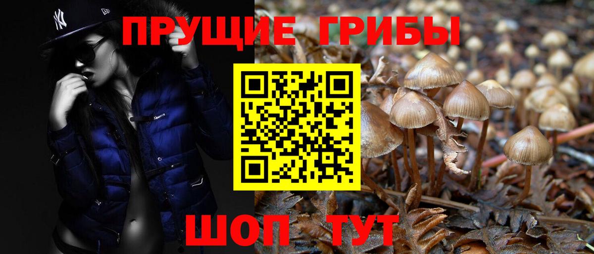 Псилоцибиновые грибы прущие грибы  Галлюциногенные грибы GOLDEN TEACHER  Советская Гавань  Вход с VPN 
