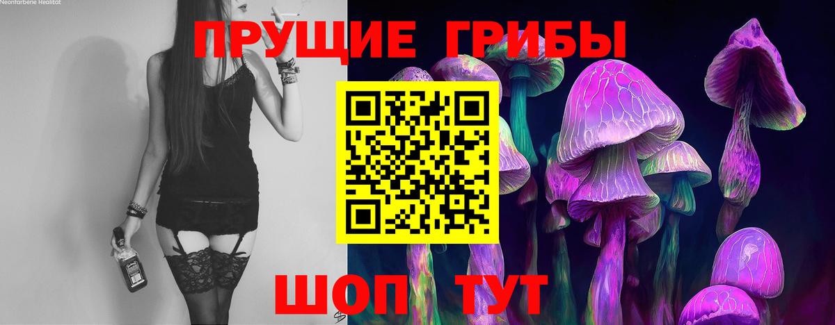 Псилоцибиновые грибы мицелий Советская Гавань
